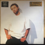 shaggy